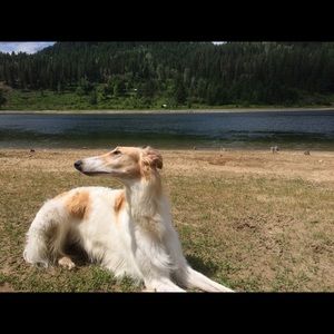 Meet your Posher, Scott